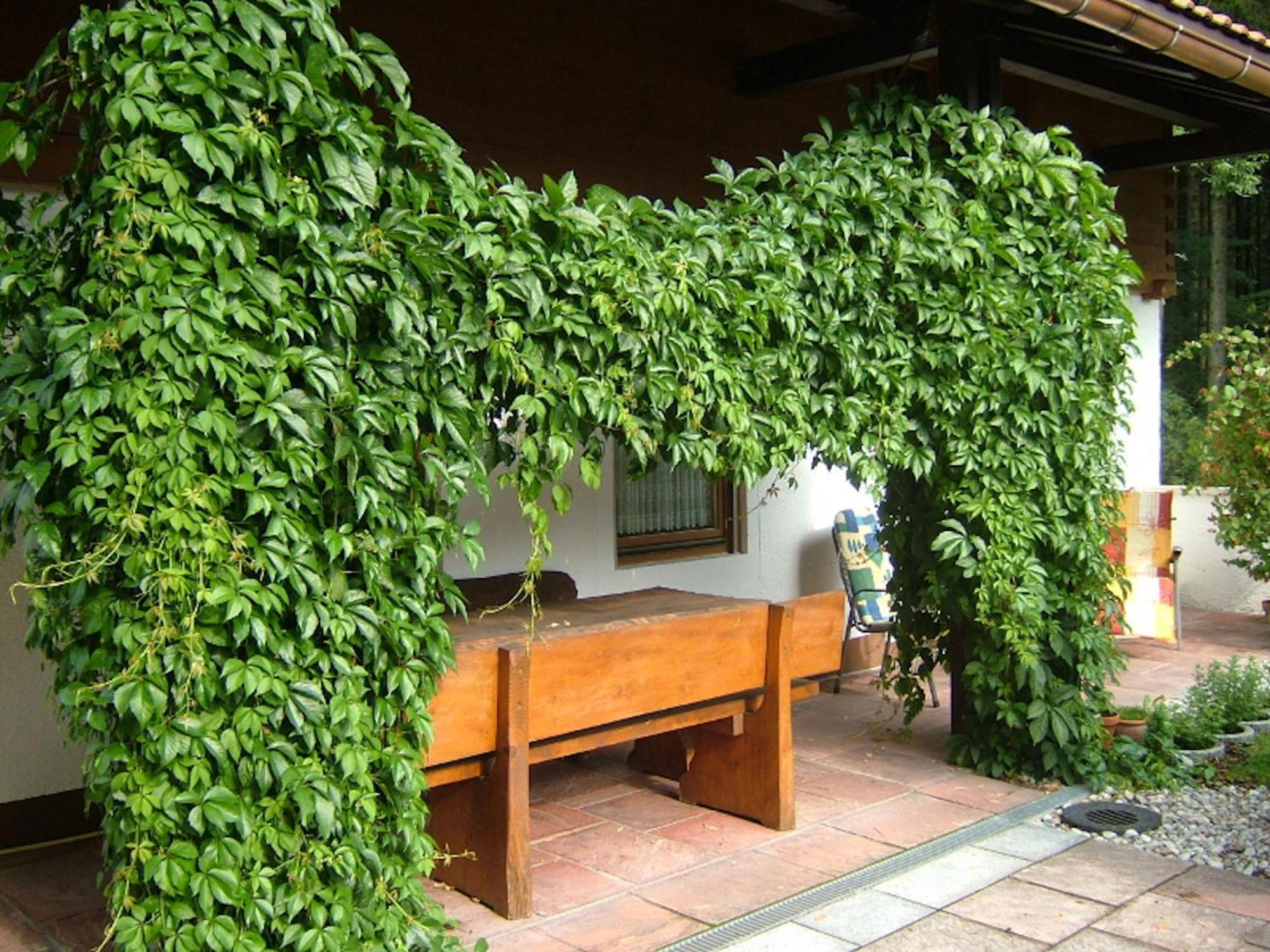 Haus Mayerbuechler - Chiemgau Karte 인젤 외부 사진